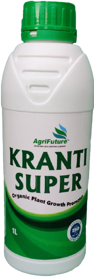 KRANTI SUPER